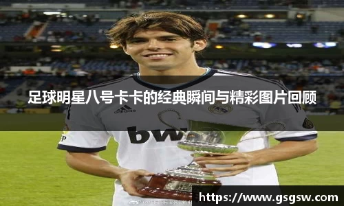 tyc122cc太阳成集团官网